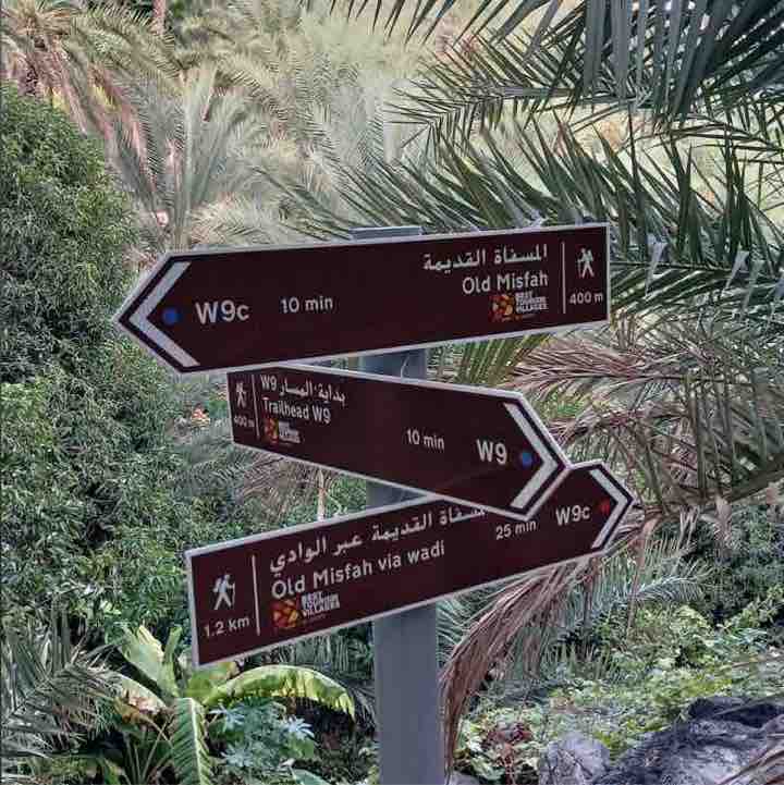 Vanessa 🥇🏰🥇🇵🇾 🇮🇹 post 3