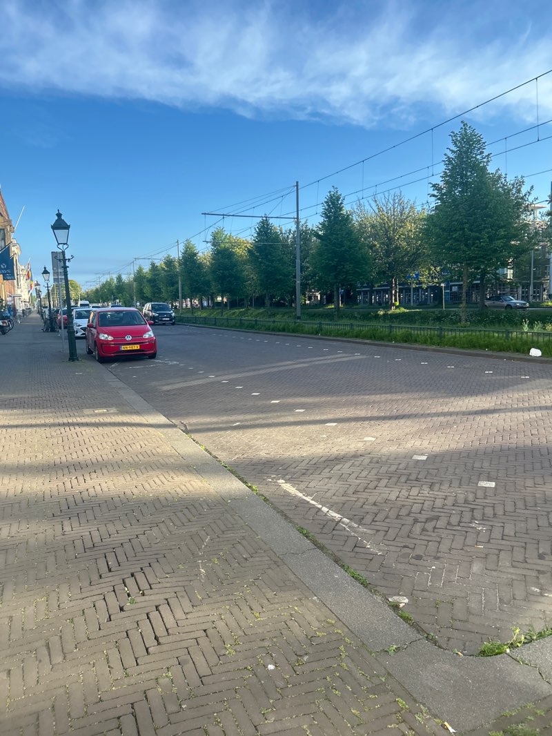 walking near me in Bosje van Repelaer in spring