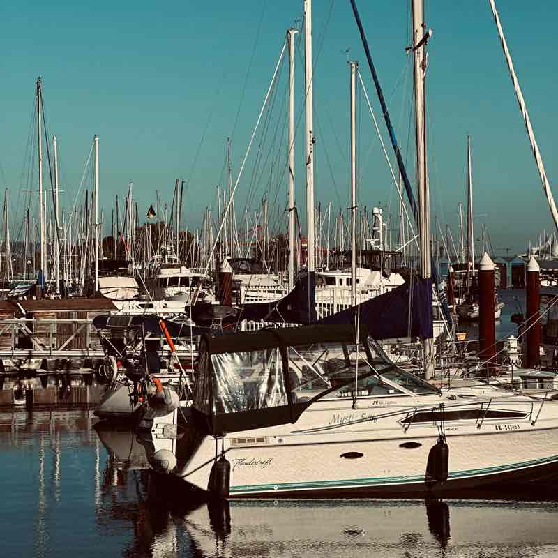 Tamia Carrillo post 2