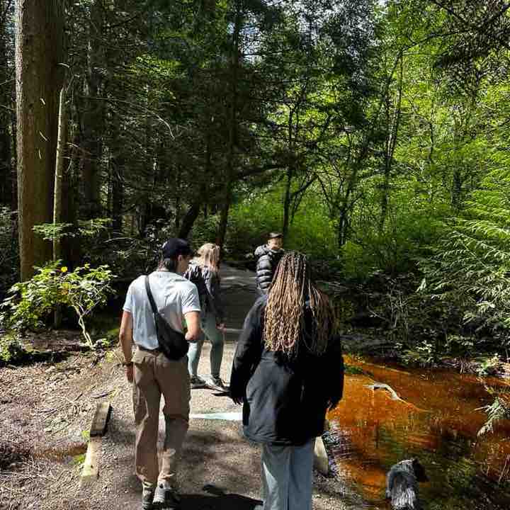 Tamia Carrillo post 1