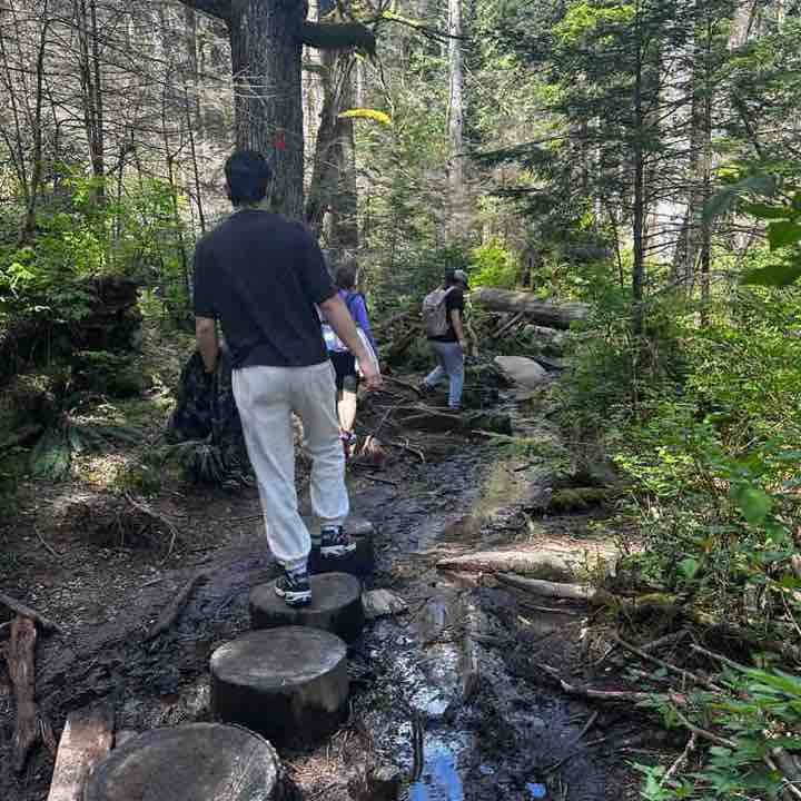 Tamia Carrillo post 1