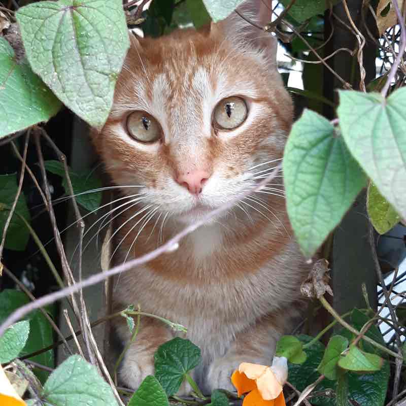 Tamia Carrillo post 1