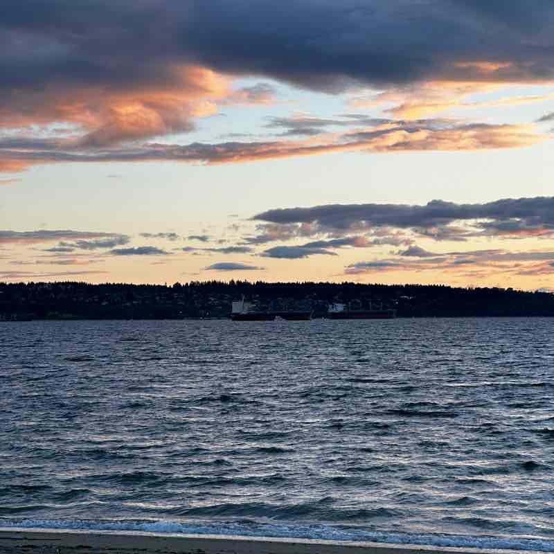 Tamia Carrillo post 1