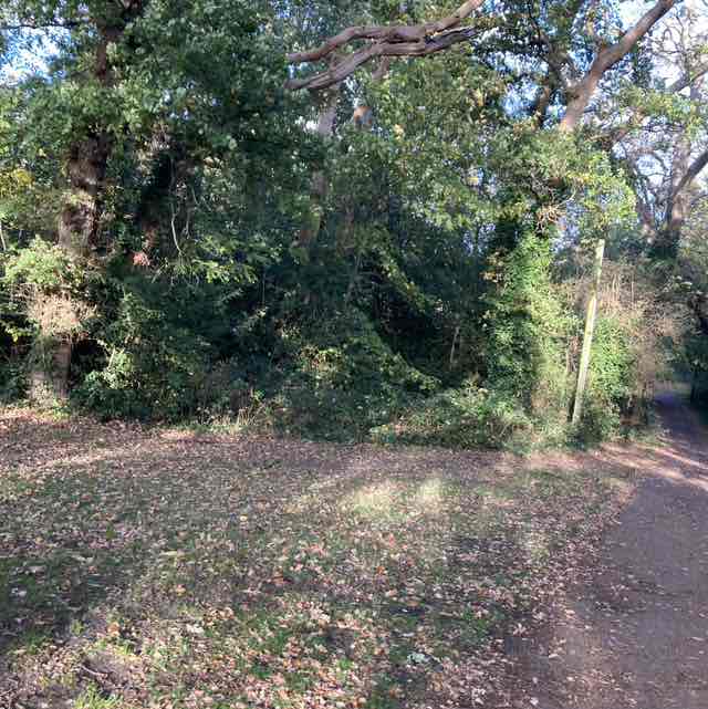 Anthony Mclaughlin post 1