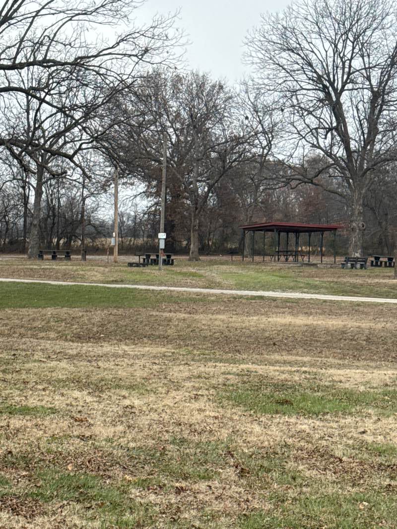 walking near me in Elmore Park in winter