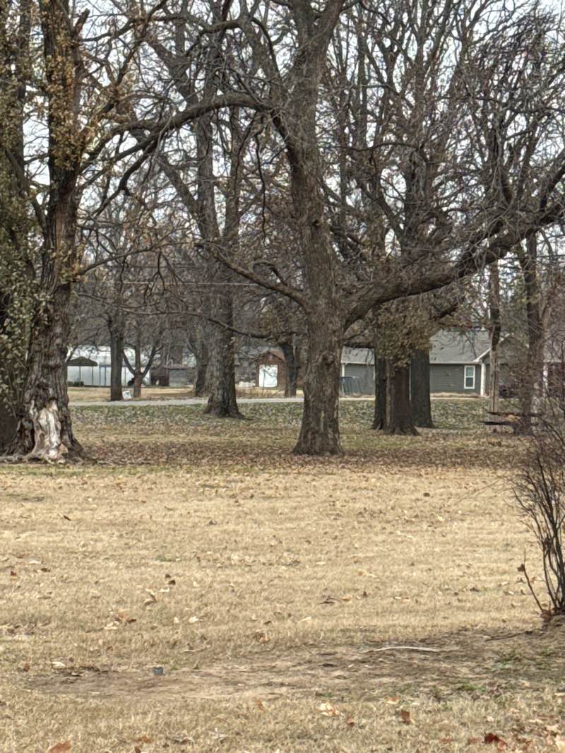 walking near me in Robert Cox Memorial Park in winter