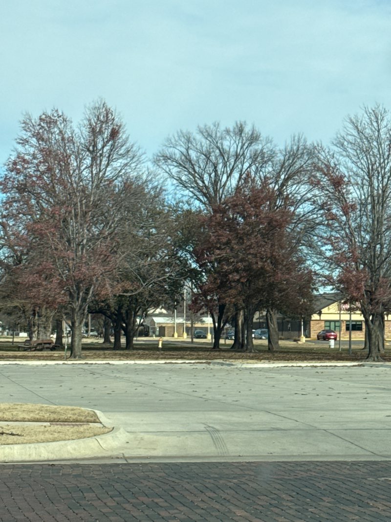 walking near me in Wilson Park in winter
