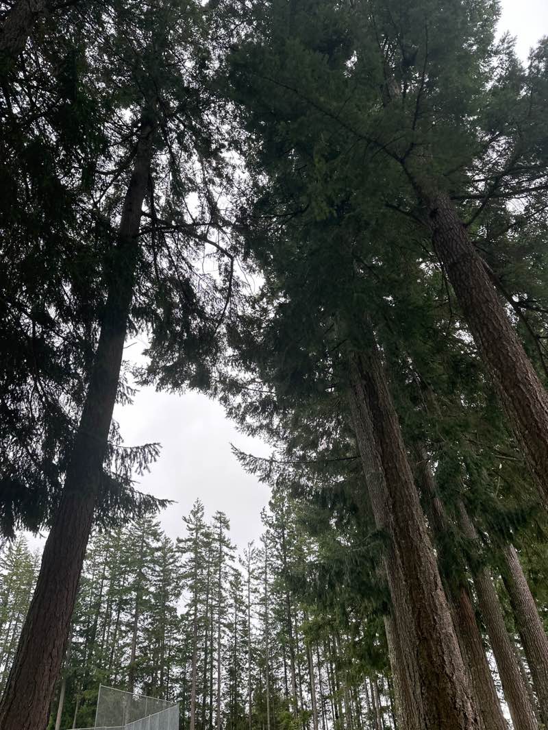 walking near me in Larry Guthro Park in spring
