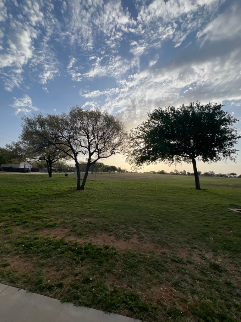 walking near me in Red Bud Park in spring