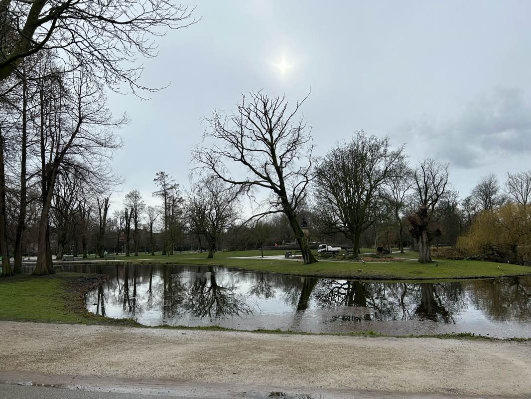 walking near me in Leidsebosje in winter