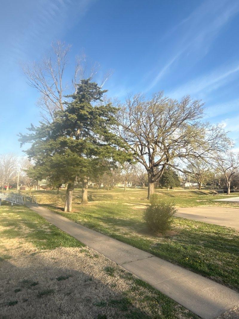 walking near me in Lyons Park in spring