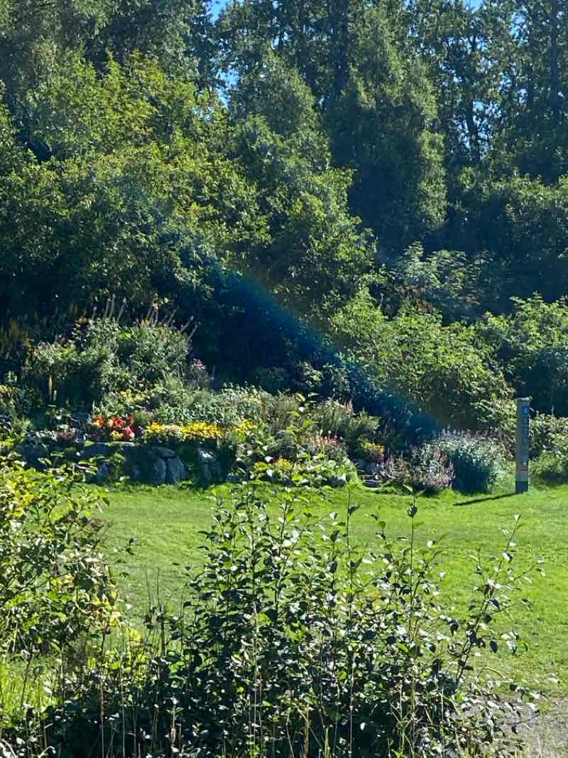 walking near me in Point Woronzof Park in autumn