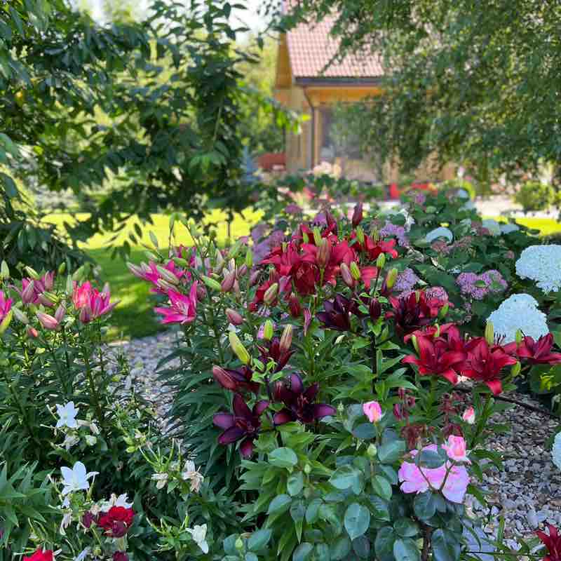 Вадим 🐯 post 1