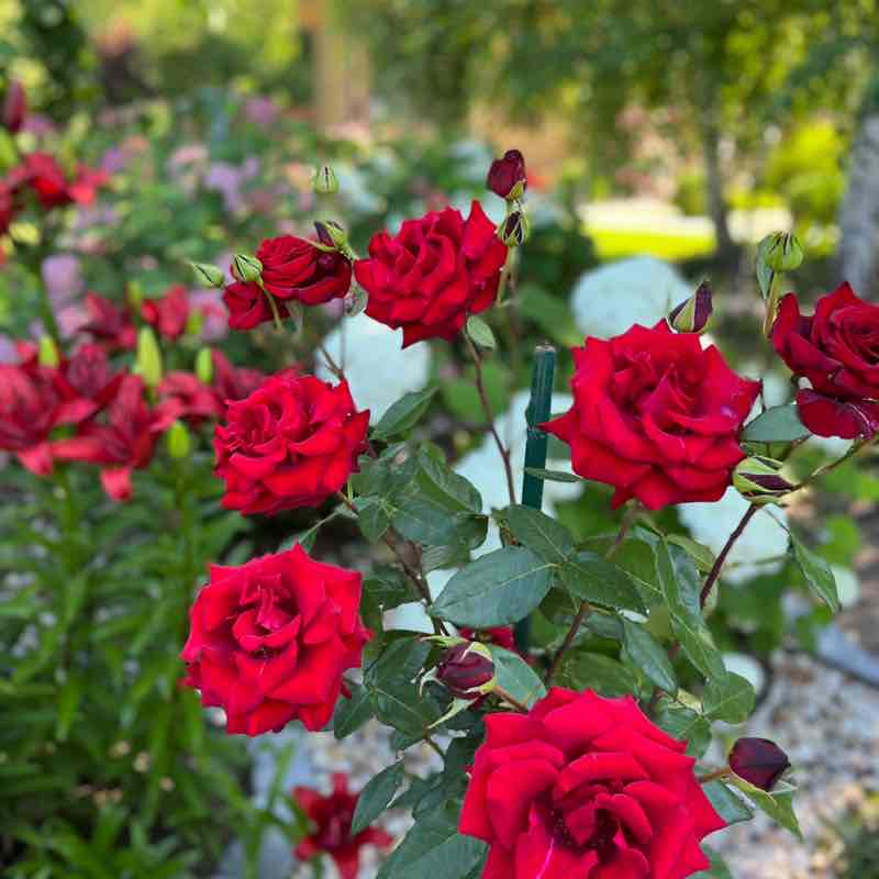 Вадим 🐯 post 2