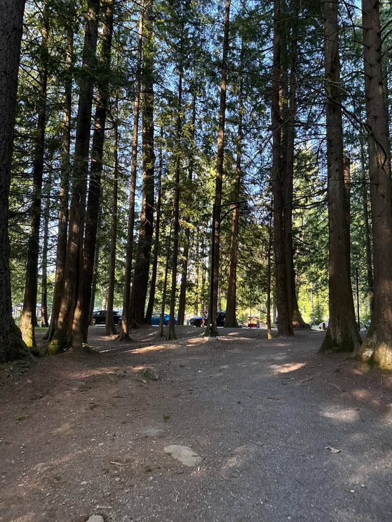 walking near me in Whonnock Lake Park in summer