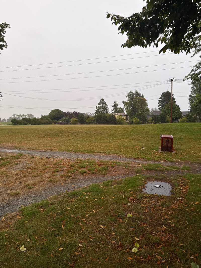 walking near me in Imperial Village Park in autumn