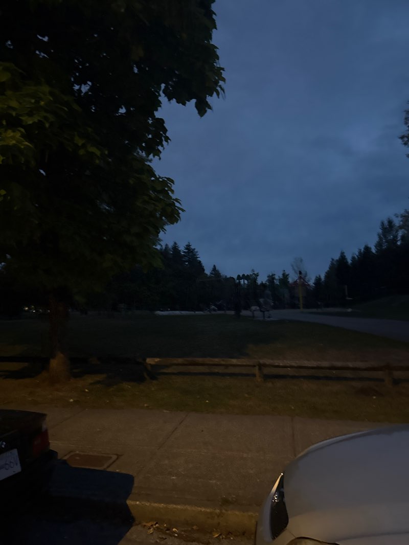 walking near me in Guildford Heights Park in autumn