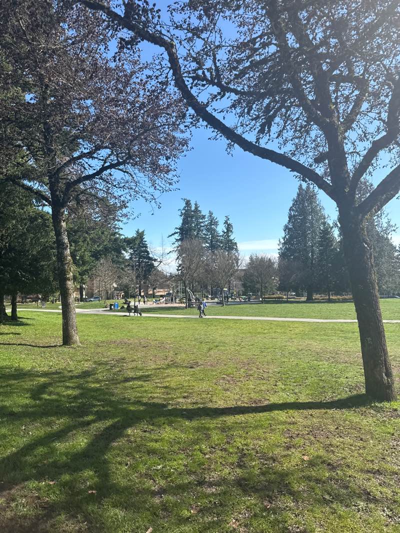 walking near me in Francis Park in spring