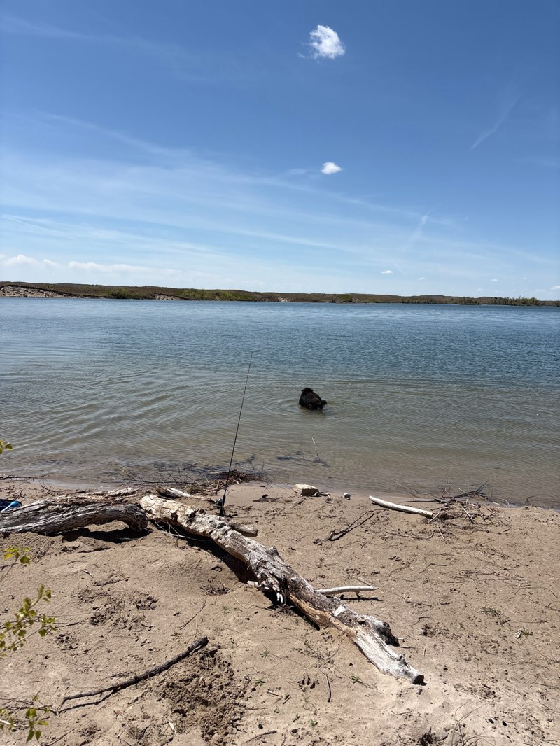 walking near me in Merritt Reservoir State Recreation Area in spring
