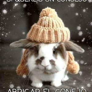 Rubén 👣👣👣👣🍻🍻🍻☔☔ profile