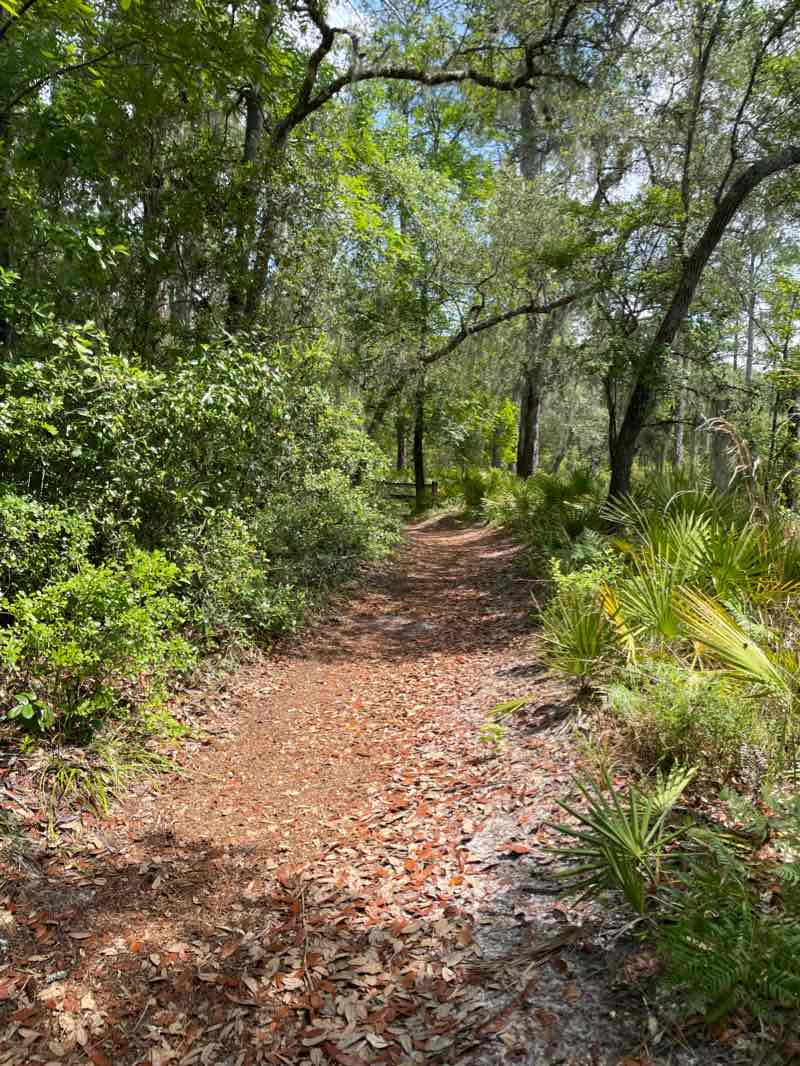 walking near me in O'Leno State Park in winter