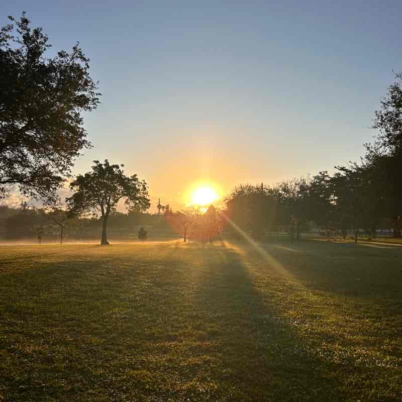 𝑨𝒍𝒊 𝑻𝒂𝒚𝒍𝒐𝒓 ❣️ post 2