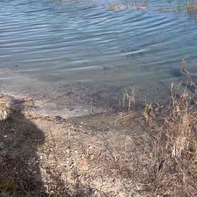 𝑨𝒍𝒊 𝑻𝒂𝒚𝒍𝒐𝒓 ❣️ post 1