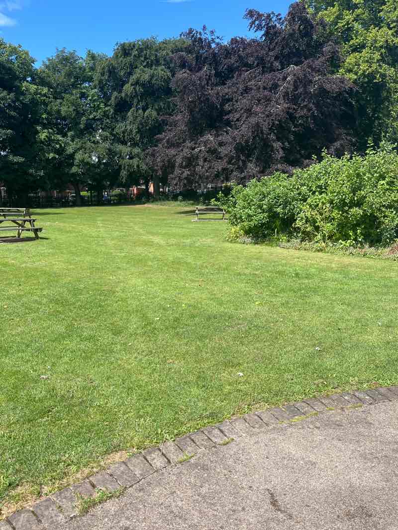 walking near me in Memorial Park in summer