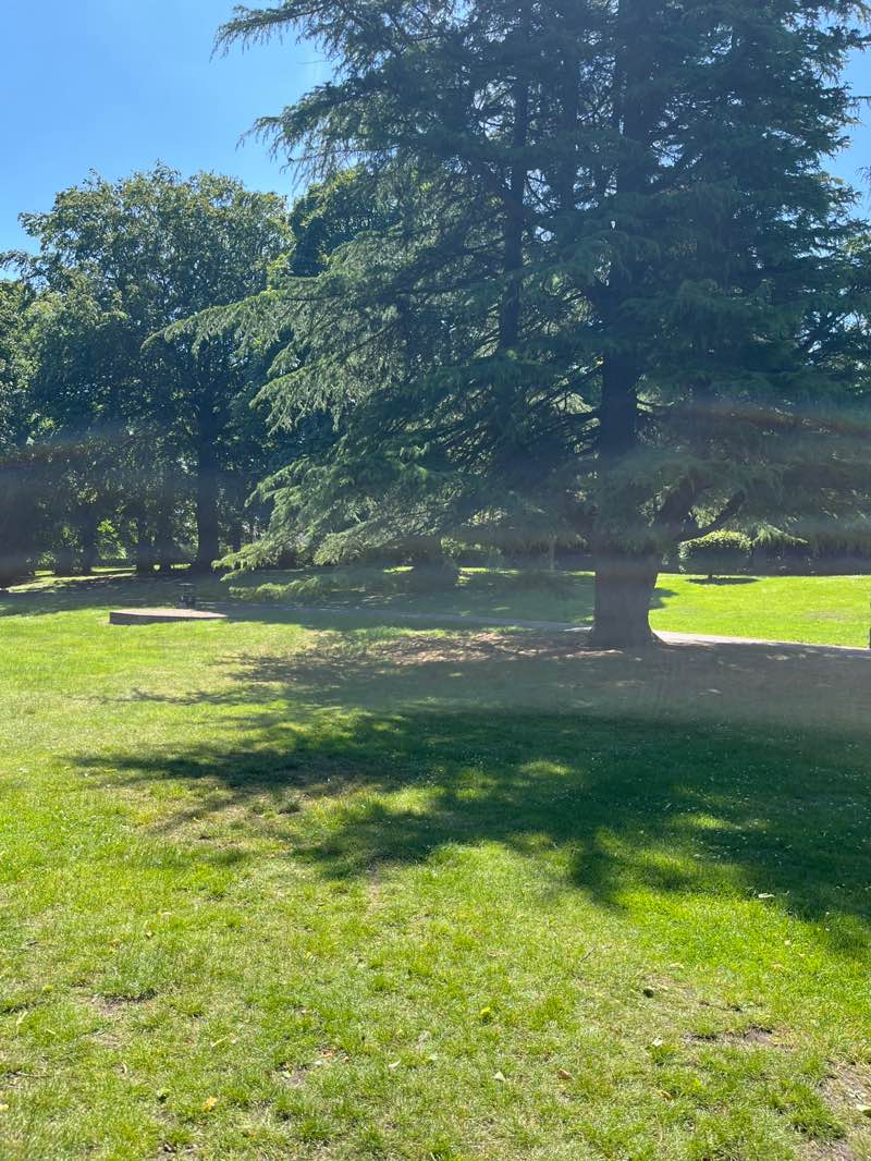walking near me in Chase Park in summer
