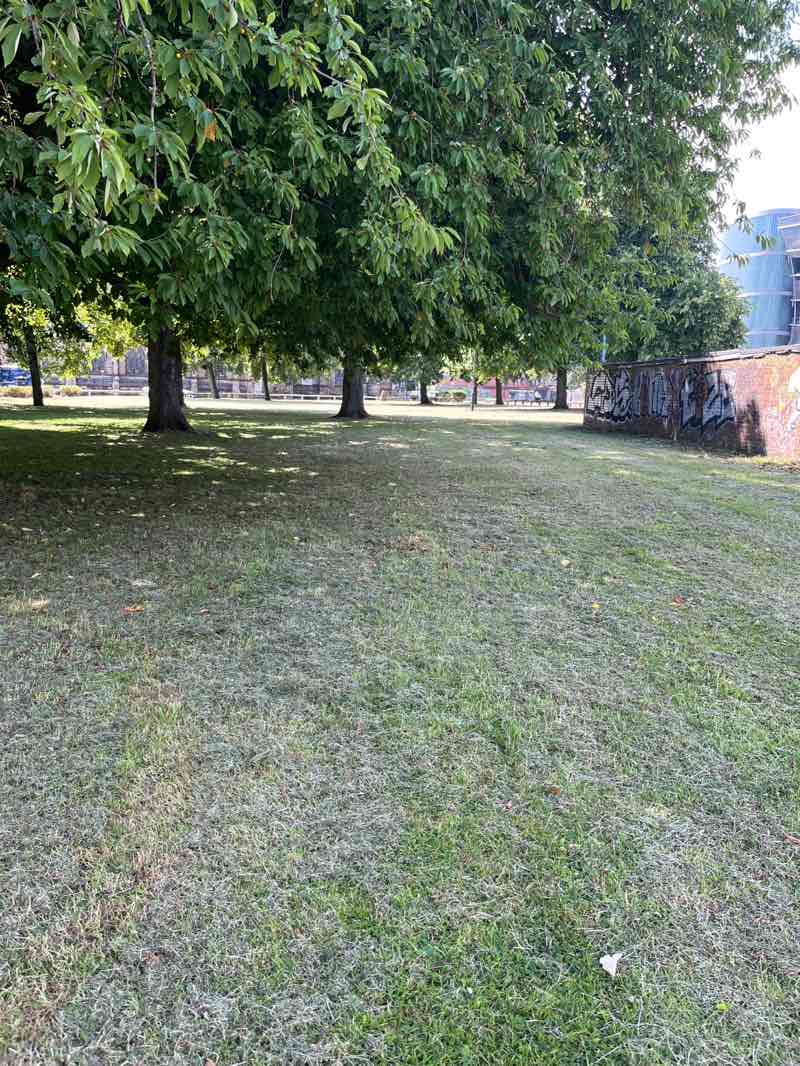 walking near me in Shieldfield Green in summer