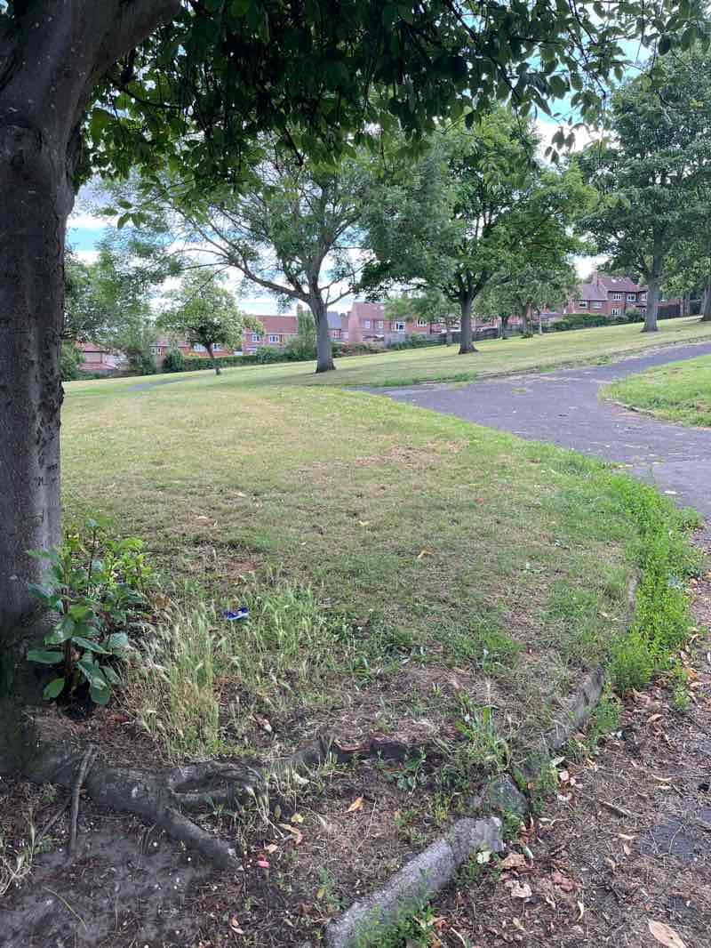 walking near me in Swalwell Park in summer