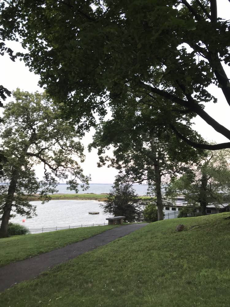 walking near me in Manor Park in summer