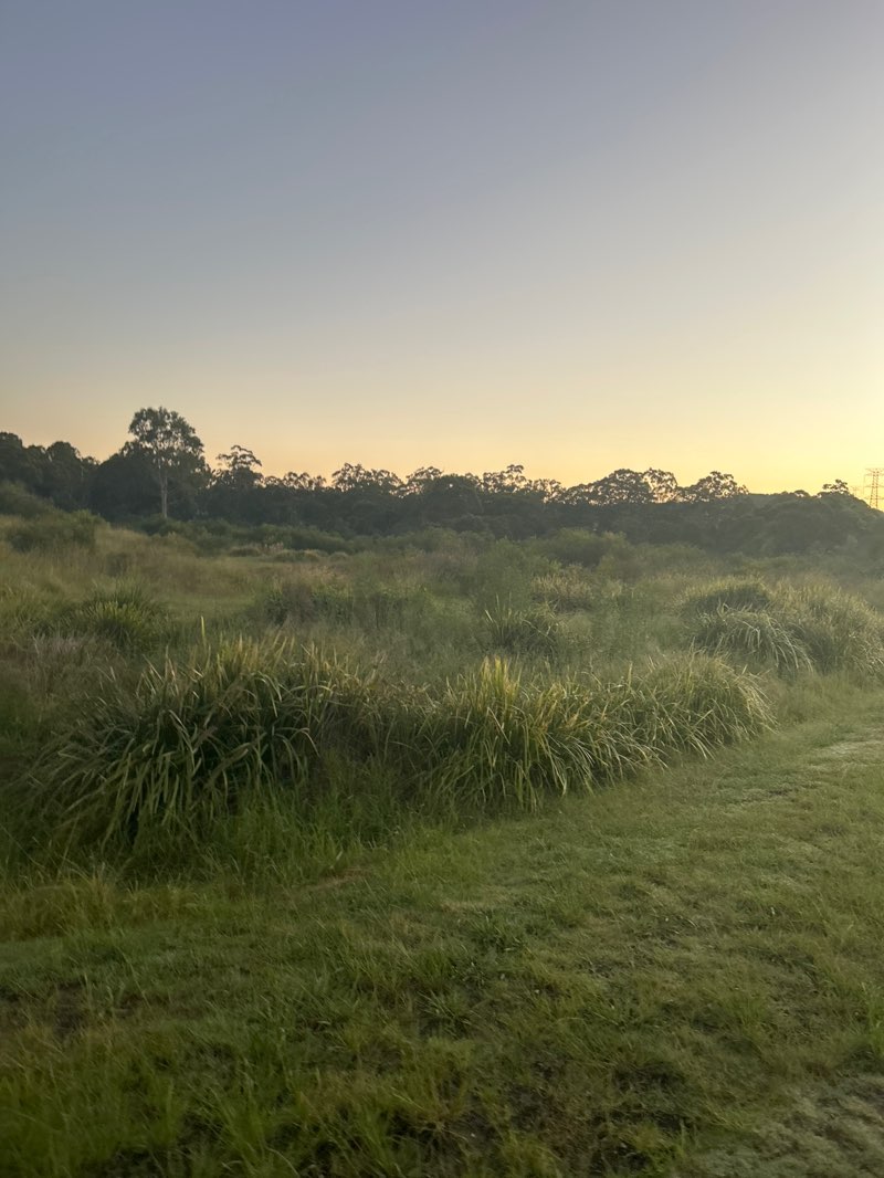 walking near me in Pasterfield Sports Complex in autumn