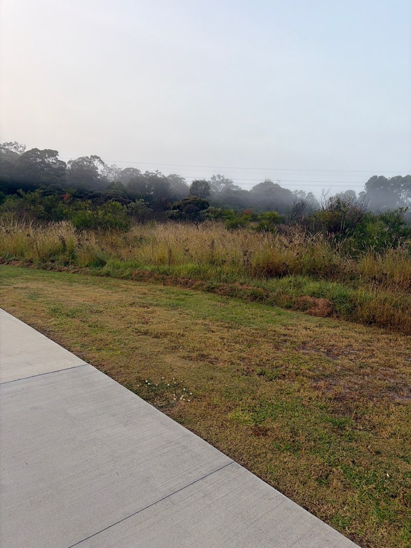 walking near me in Pasterfield Sports Complex in autumn