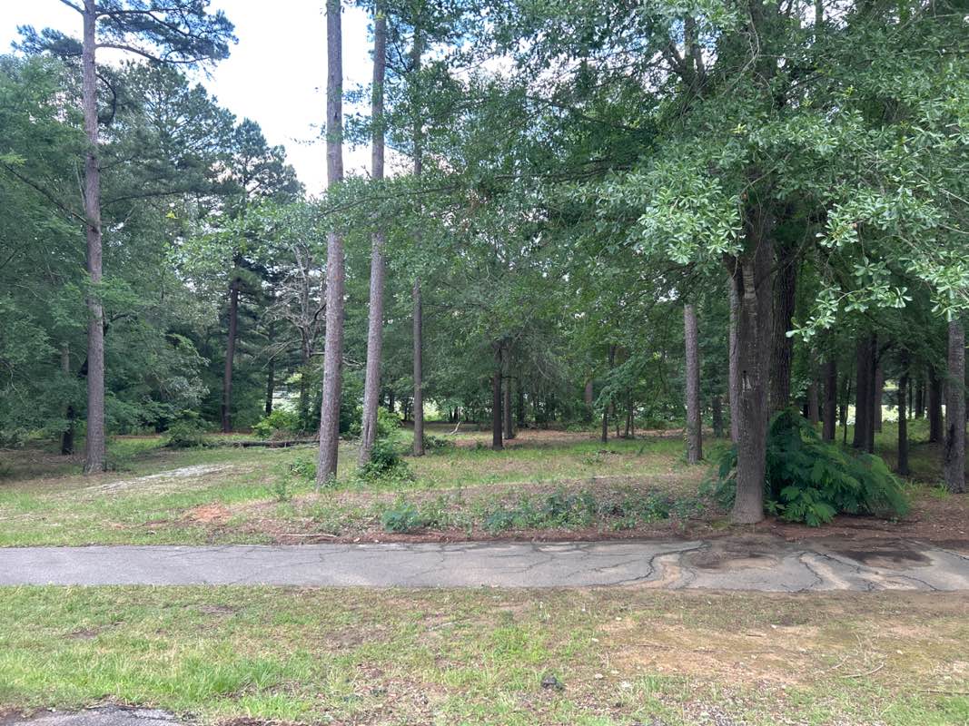 walking near me in Faulkner Park in spring