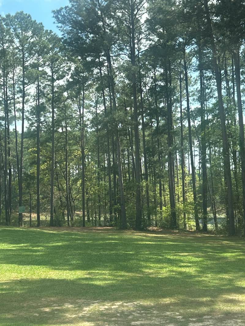 walking near me in Faulkner Park in spring