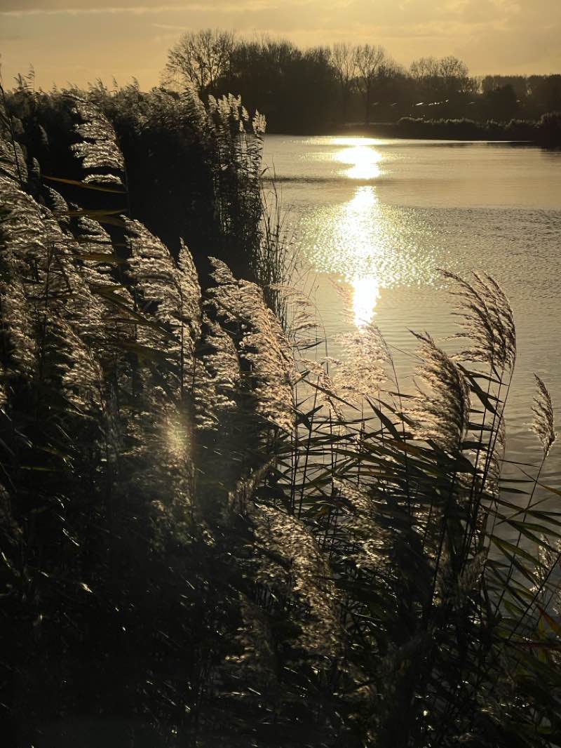 walking near me in Park Huis te Kinderdijk in autumn