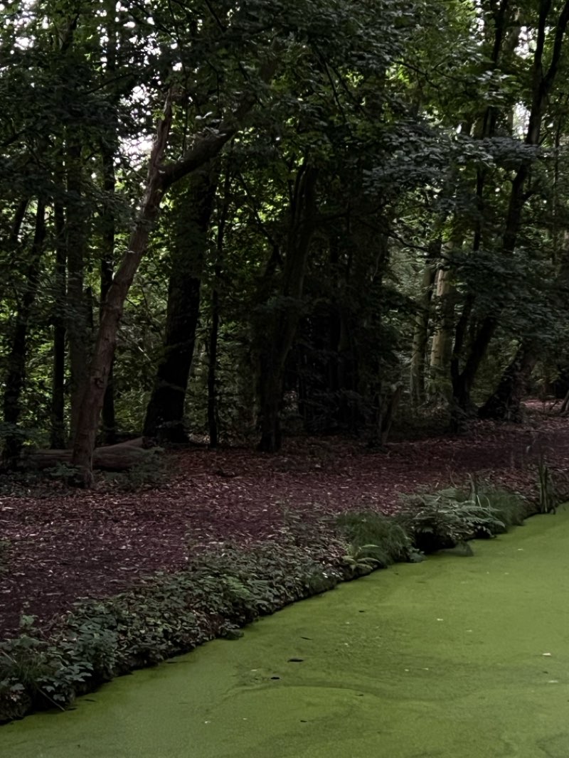 walking near me in Lammetjeswiel in autumn