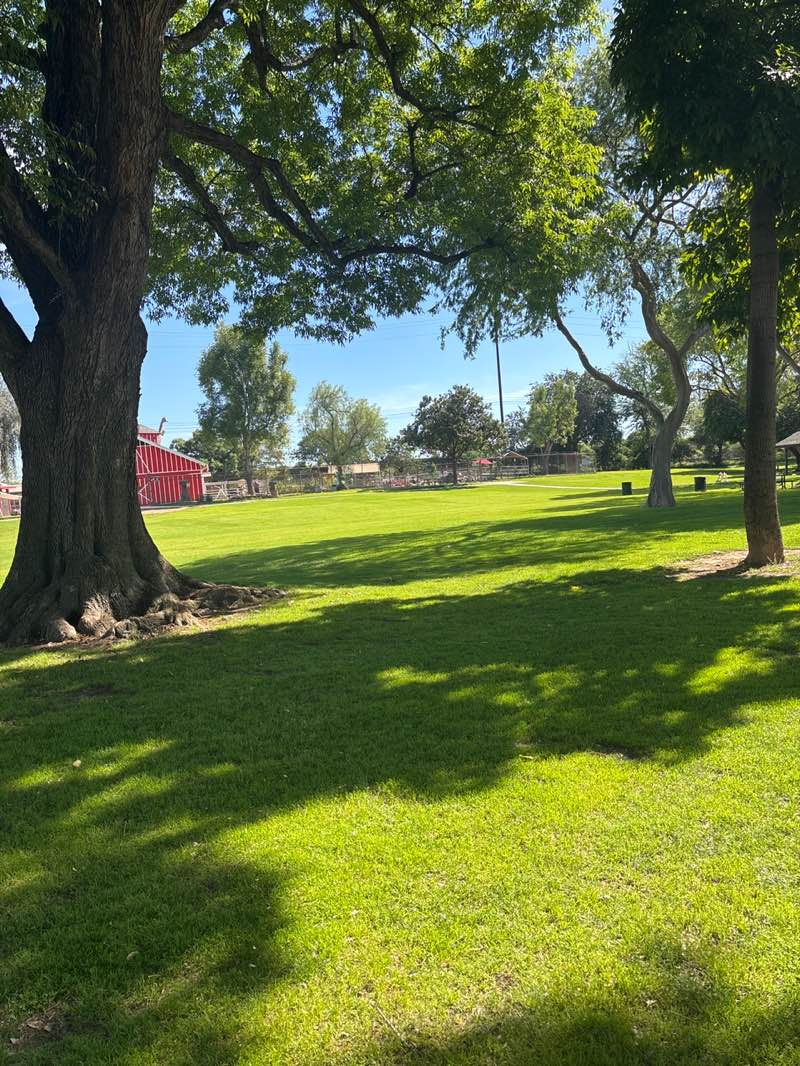 walking near me in Grant Rea Park in winter