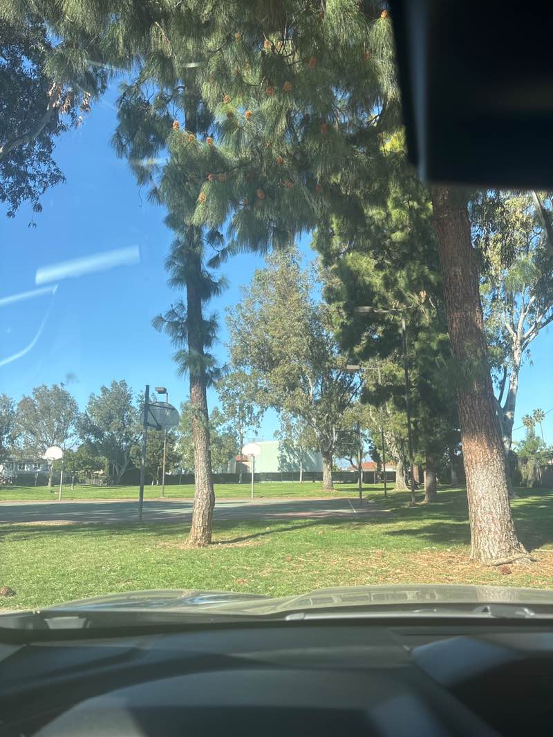 walking near me in Reggie Rodriguez Park in spring