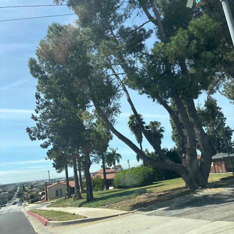 carlosx1028 post 1