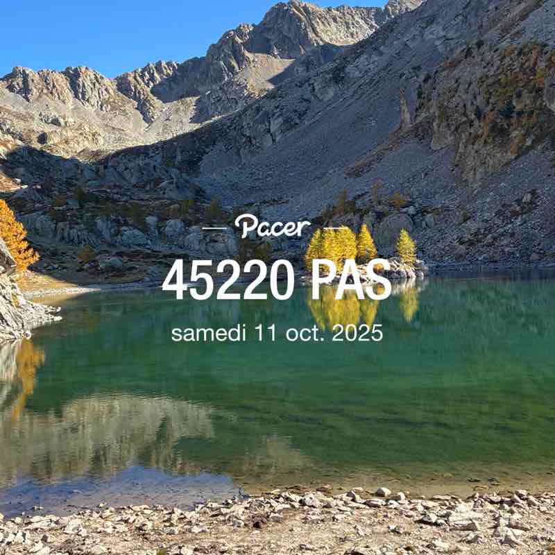 Ciao Bicou 🦎 post 1