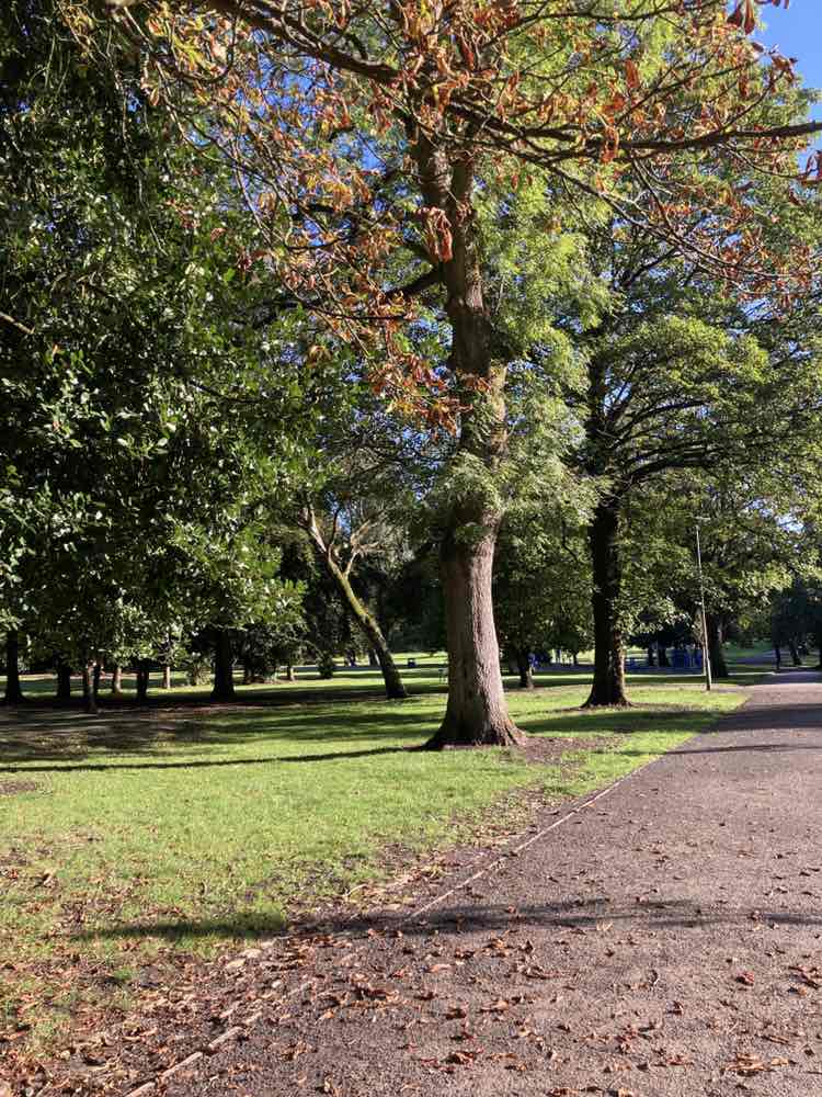 walking near me in Astley Street  Park in autumn