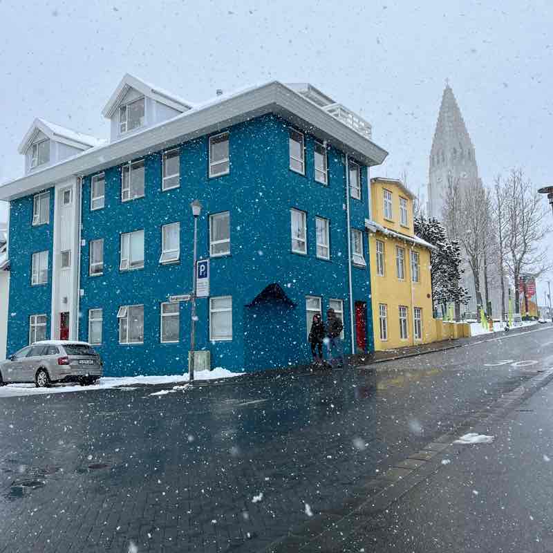 🐶Heeler🐶 post 2