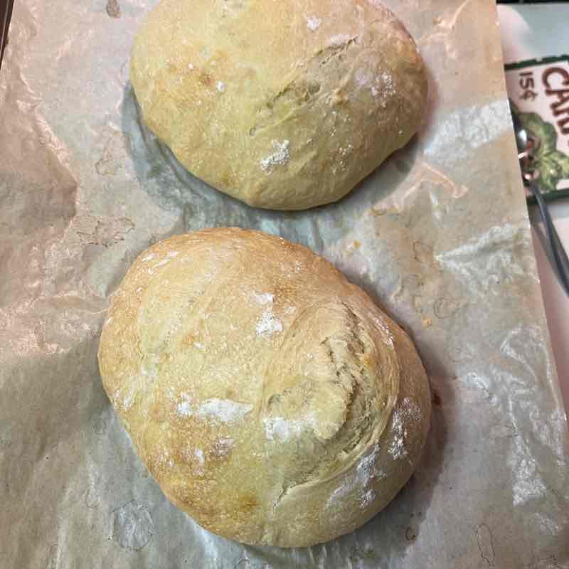 🐶Heeler🐶 post 3