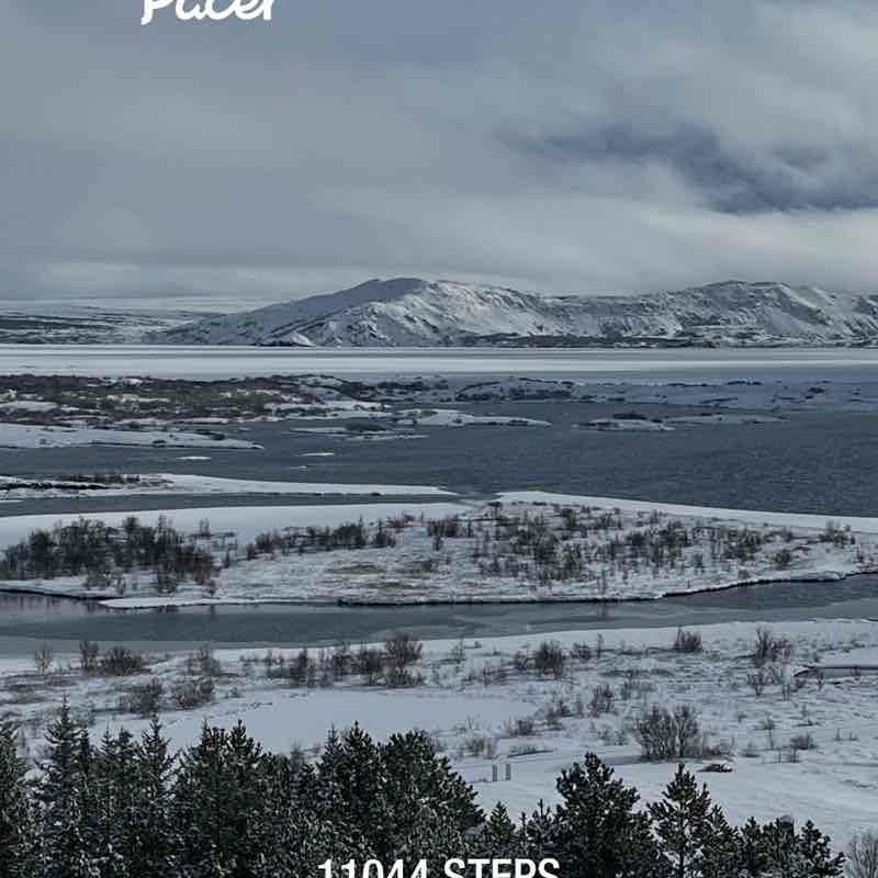 🐶Heeler🐶 post 1