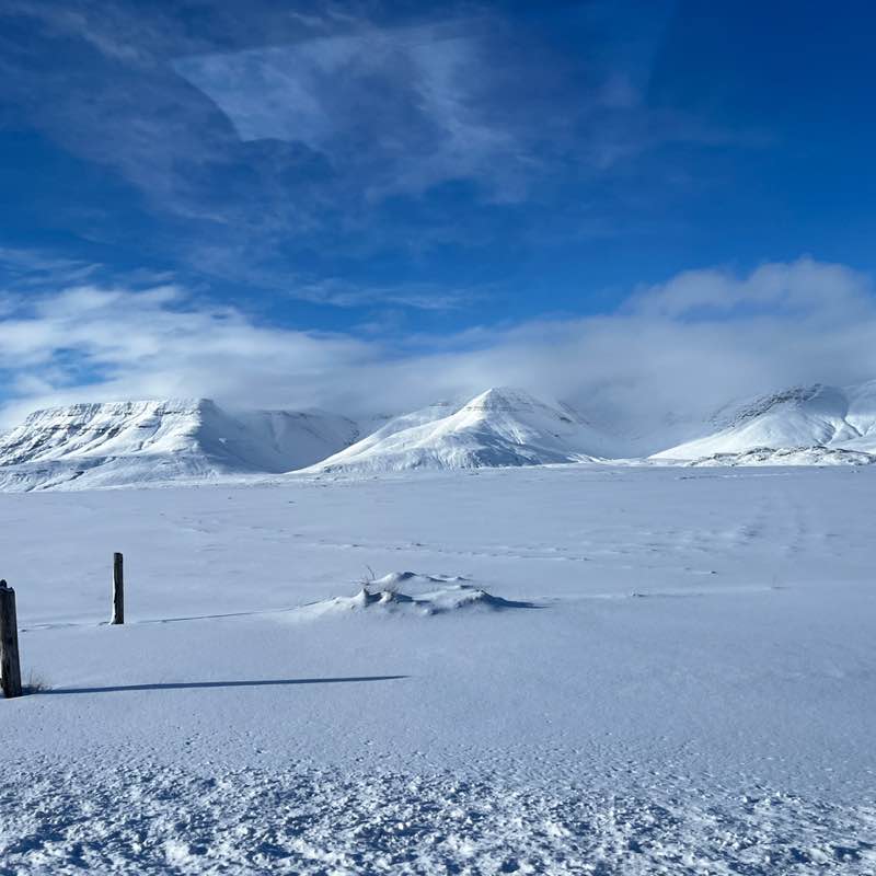 🐶Heeler🐶 post 2