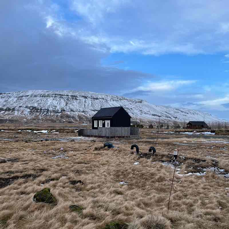 🐶Heeler🐶 post 3