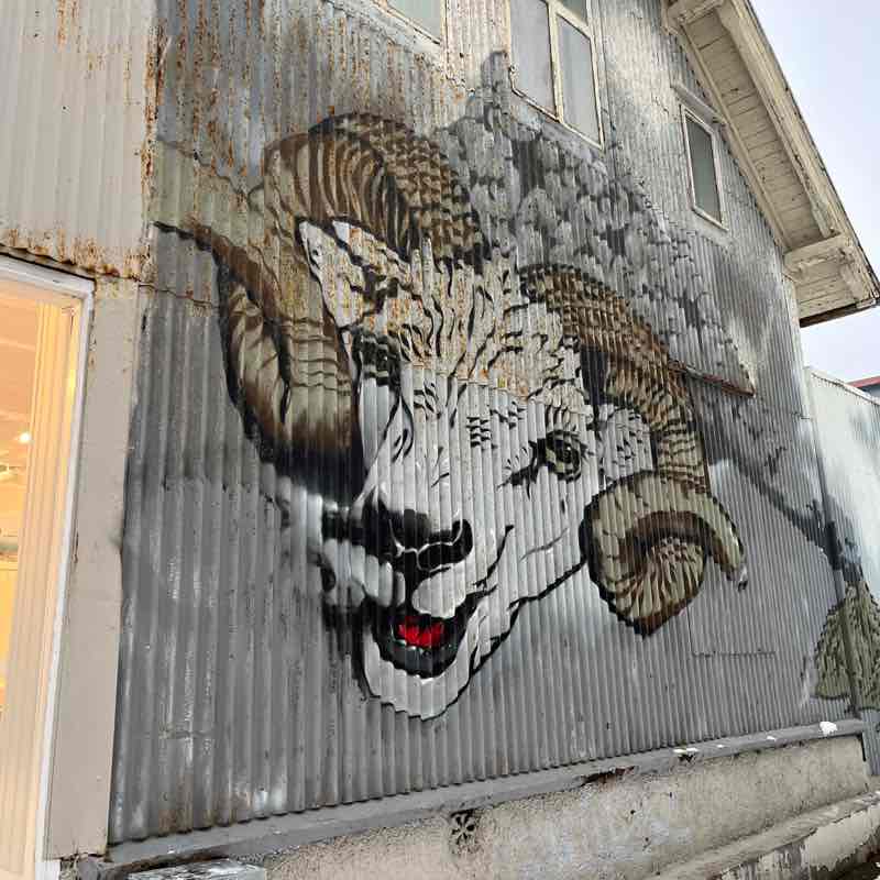 🐶Heeler🐶 post 3