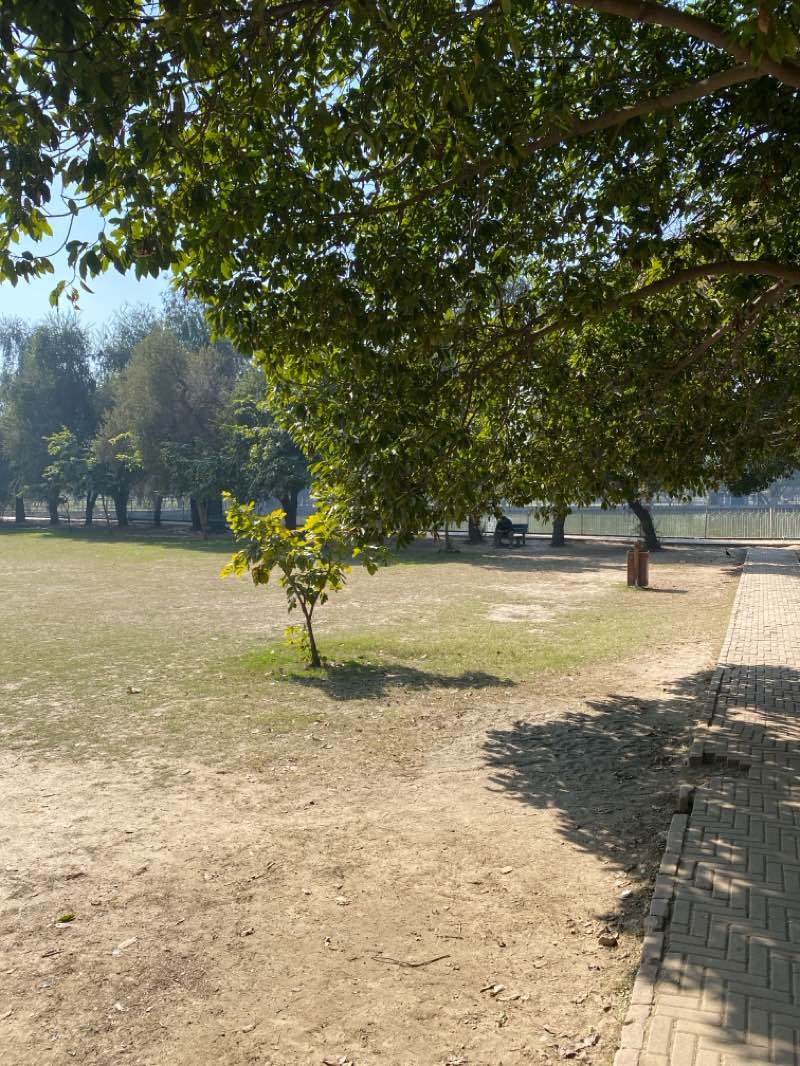 walking near me in Race Course Park in winter